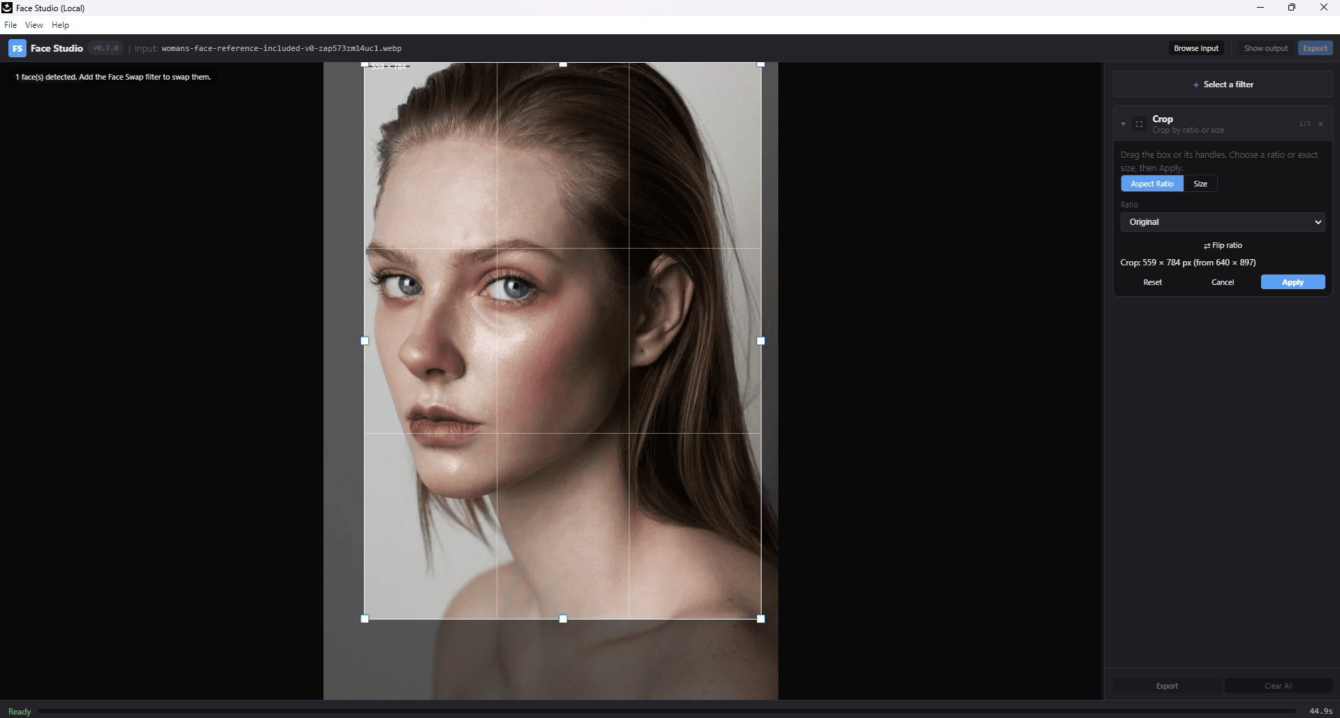 Nano FaceStudio Pro — precision crop with aspect-ratio presets