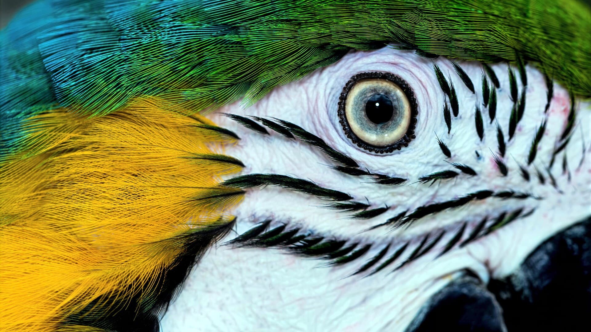 AI-generated creative artwork